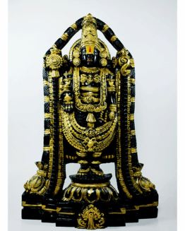 Perumal/Mahavisnu/ Vengadachalapathy