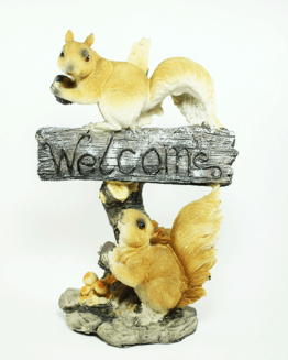 Welcome Squirrel