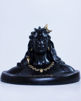 Aadiyogi