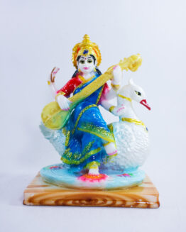 Saraswathy on Swan