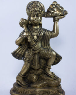 Brass Hanuman